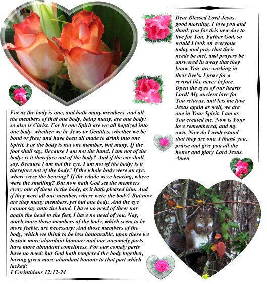 © Photo Artist Susan R. Robertson 027 - Copy