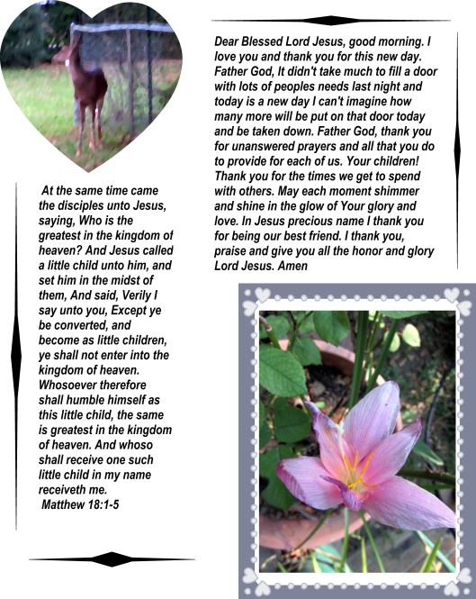 © Photo Artist Susan Ruth Robertson 002 - Copy.JPG