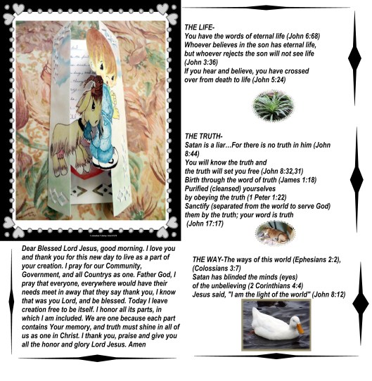 © Photo Artist Susan Ruth Robertson 016 - Copy