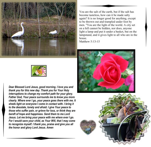 © Photo Artist Susan Ruth Robertson 0900250061 021 - Copy.JPG