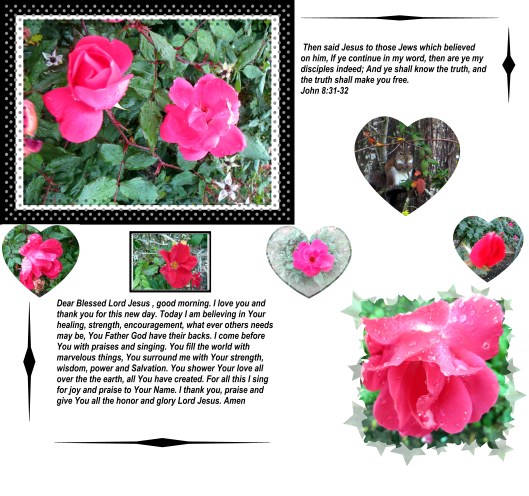 © Photo Artist Susan Ruth Robertson 09002500610 021 - Copy.JPG