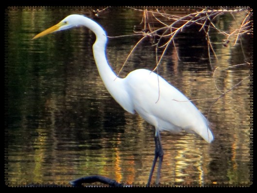 © Photo Artist Susan Ruth Robertson 0900250610 012.JPG