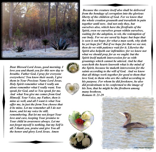 © Photo Artist Susan Ruth Robertson 09025061 006 - Copy