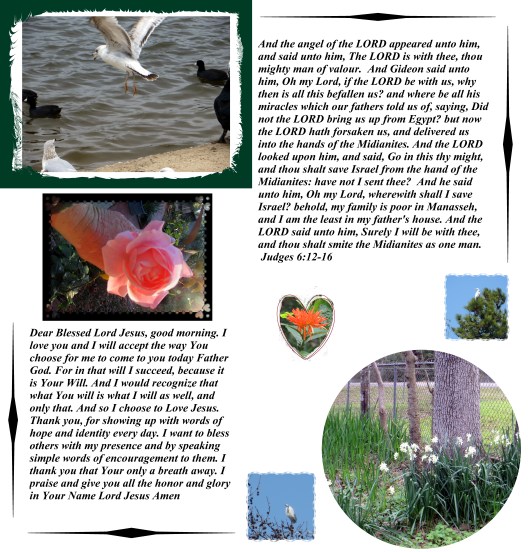 Photo Artist Susan Robertson (34) - Copy