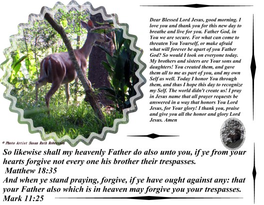 Photo Artist Susan Robertson (5) - Copy - Copy