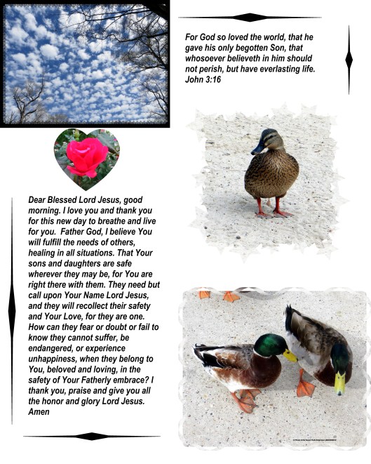 Photo Artist Susan Robertson all Rights Reserved 001.JPG