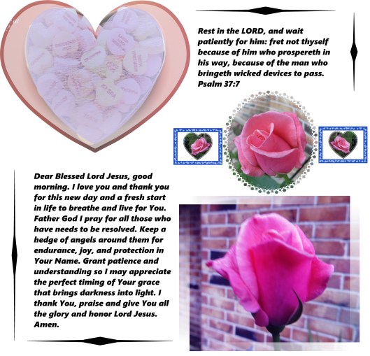 © Photo Artist Susan Ruth Robertson; 001 - Copy (2)