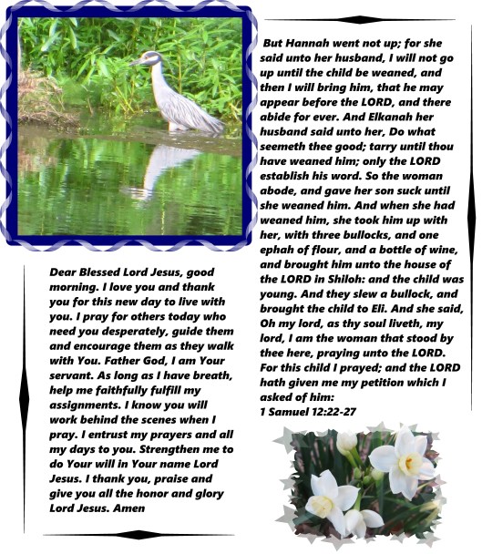 © Photo Artist Susan Ruth Robertson 002 - Copy - Copy.JPG