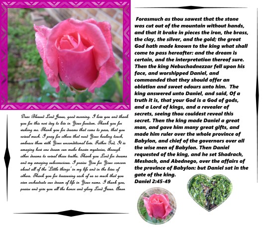 © Photo Artist Susan Ruth Robertson 009 - Copy.JPG