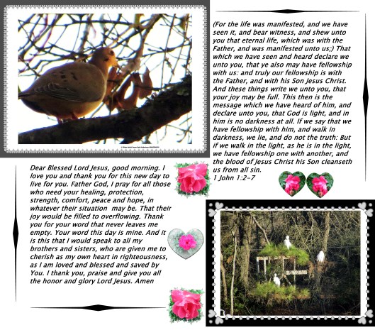 © Photo Artist Susan Ruth Robertson 013 - Copy.JPG