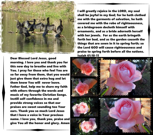 © Photo Artist Susan Ruth Robertson 021 - Copy.JPG