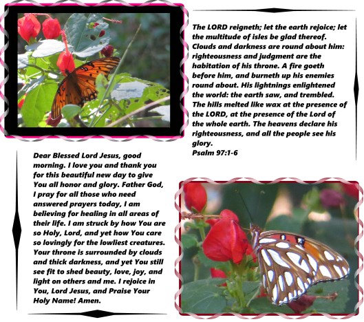 © Photo Artist Susan Ruth Robertson 076 - Copy - Copy - Copy - Copy (2).JPG