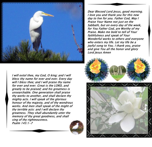 © Photo Artist Susan Ruth Robertson 09002500610 002 - Copy.JPG