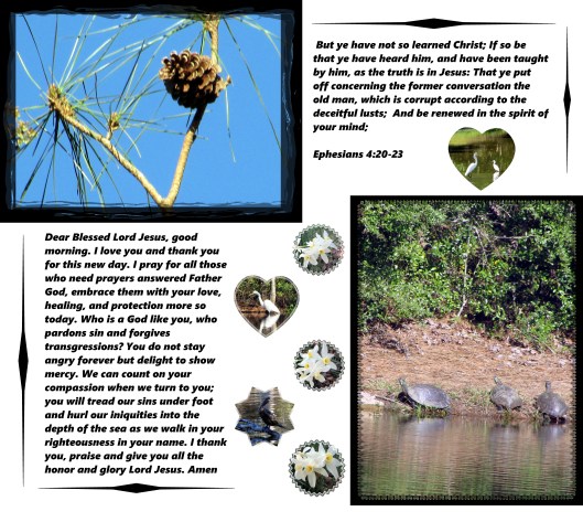 © Photo Artist Susan Ruth Robertson 09002500610 005 - Copy.JPG