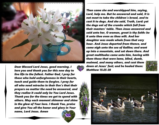 © Photo Artist Susan Ruth Robertson 09002500610 006 - Copy.JPG