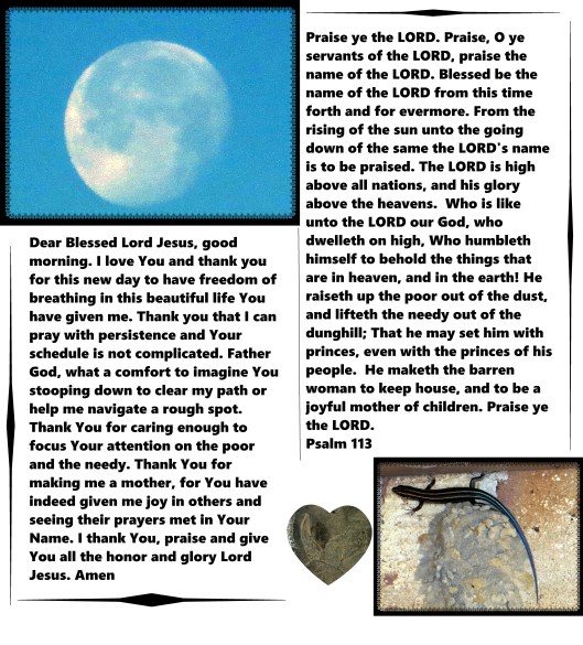 © Photo Artist Susan Ruth Robertson 09002500610 023 - Copy.JPG