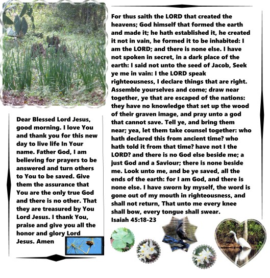 © Photo Artist Susan Ruth Robertson 09002500610 029.JPG