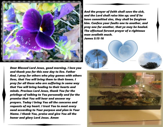 © Photo Artist Susan Ruth Robertson 09002500610 033 - Copy.JPG