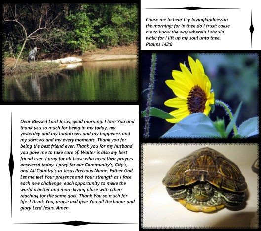 © Photo Artist Susan Ruth Robertson 09002500610 036 - Copy.JPG