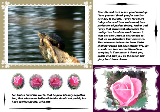 © Photo Artist Susan Ruth Robertson 09002500610 039 - Copy.JPG