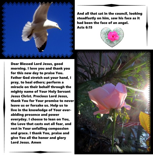 © Photo Artist Susan Ruth Robertson 09002500610 068 - Copy.JPG