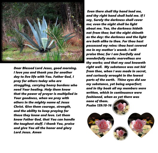 © Photo Artist Susan Ruth Robertson 09002500610 069 - Copy.JPG