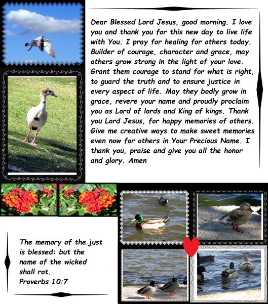 © Photo Artist Susan Ruth Robertson 09002500610 079 - Copy.JPG