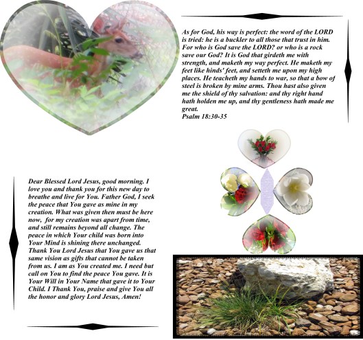 Photo Artist Susan Robertson (9) - Copy