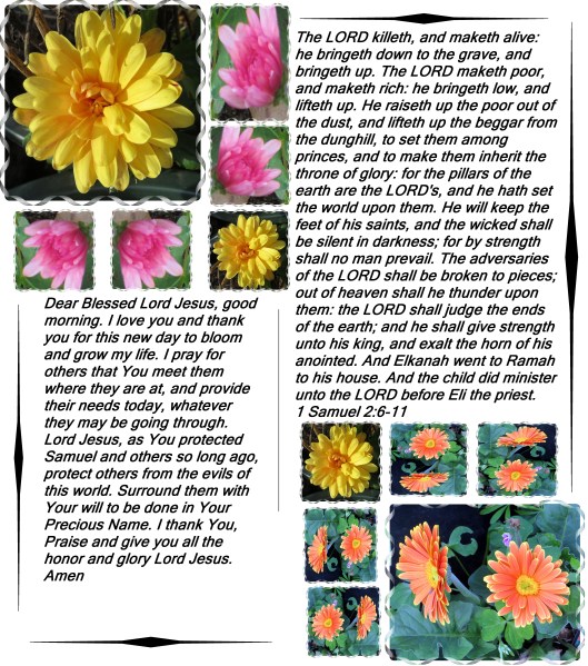 Photo Artist Susan Robertson all Rights Reserved 005 - Copy