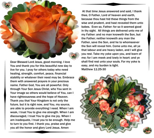 © Photo Artist Susan R. Robertson 025 - Copy.JPG