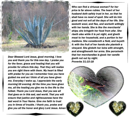 © Photo Artist Susan Ruth Robertson 006 - Copy (2).JPG