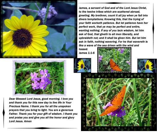 © Photo Artist Susan Ruth Robertson 014 - Copy.JPG