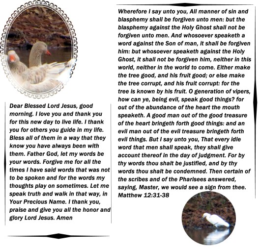 © Photo Artist Susan Ruth Robertson 033 - Copy.JPG