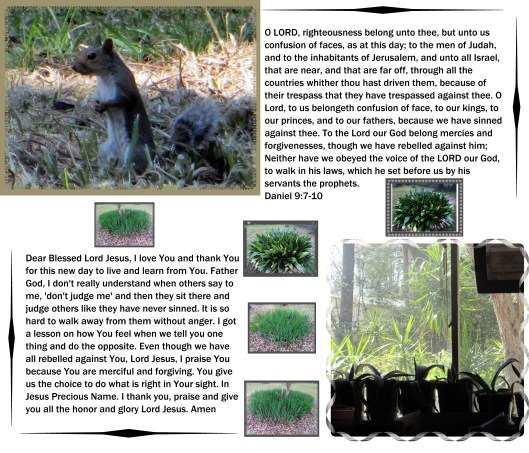 © Photo Artist Susan Ruth Robertson 044 - Copy.JPG