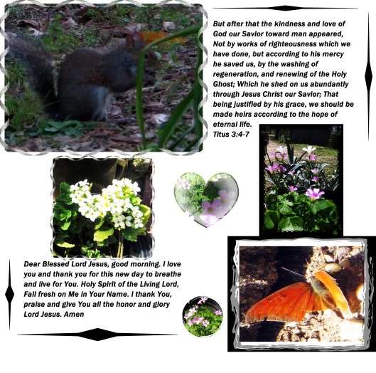 © Photo Artist Susan Ruth Robertson 052 - Copy (2).JPG