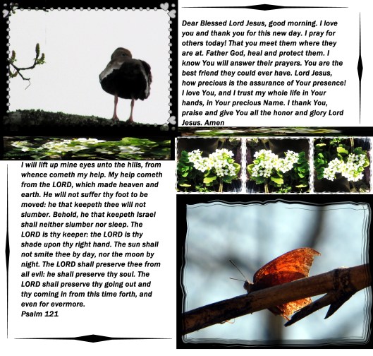 © Photo Artist Susan Ruth Robertson 09002500610 001 - Copy.JPG