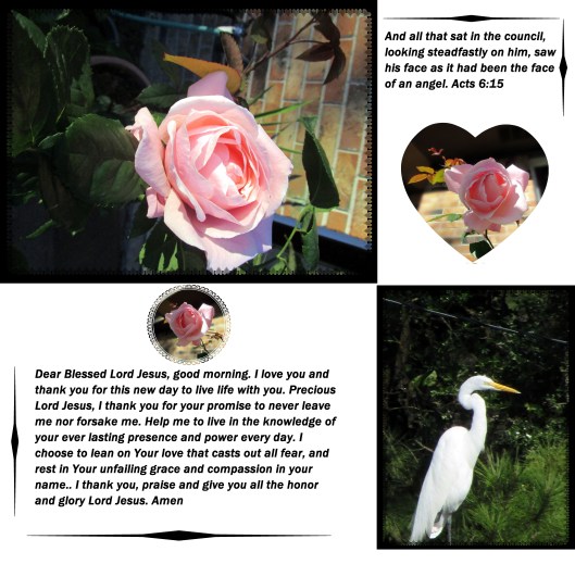 © Photo Artist Susan Ruth Robertson 09002500610 005 - Copy.JPG