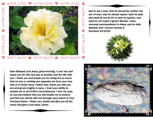 © Photo Artist Susan Ruth Robertson 09002500610 008 - Copy (2).JPG