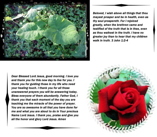 © Photo Artist Susan Ruth Robertson 09002500610 016 - Copy.JPG