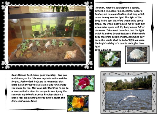 © Photo Artist Susan Ruth Robertson 09002500610 021 - Copy.JPG