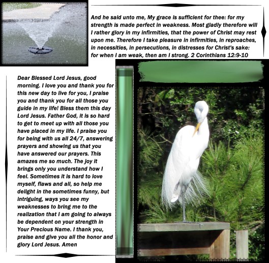 © Photo Artist Susan Ruth Robertson 09002500610 021.JPG