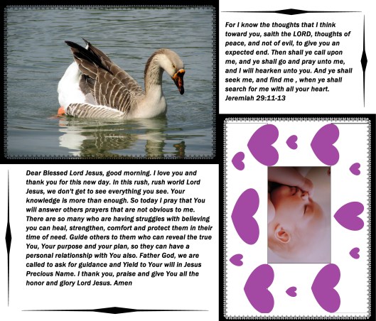 © Photo Artist Susan Ruth Robertson 09002500610 042 - Copy.JPG