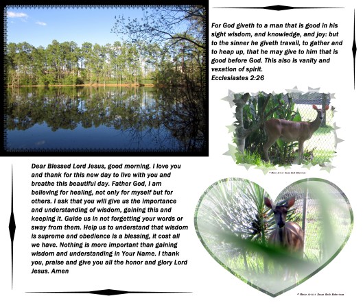 © Photo Artist Susan Ruth Robertson 09002500610 055 - Copy.JPG