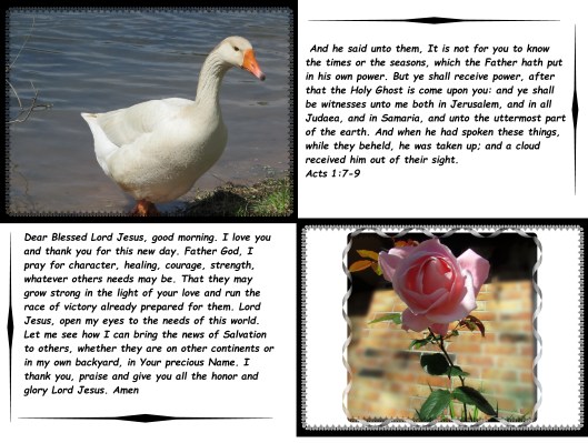 © Photo Artist Susan Ruth Robertson 09002500610 058 - Copy.JPG