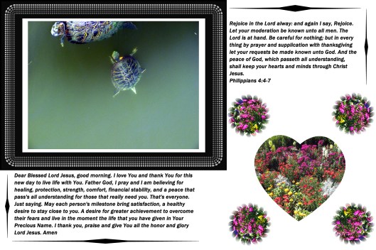 © Photo Artist Susan Ruth Robertson 09002500610 068 - Copy.JPG