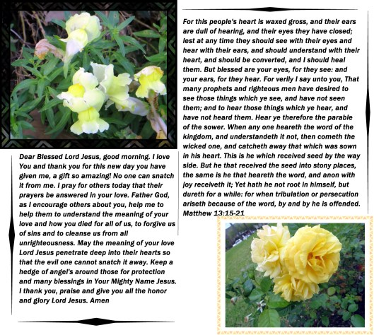 © Photo Artist Susan Ruth Robertson 09002500610 078 - Copy.JPG