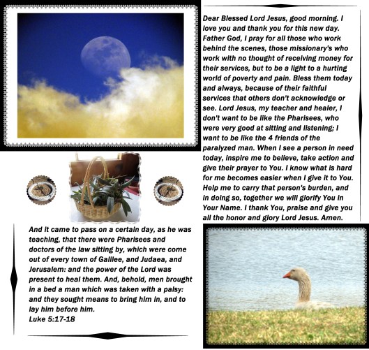 © Photo Artist Susan Ruth Robertson 09002500610 141 - Copy.JPG