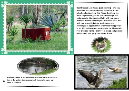 © Susan Ruth Robertson 09002500610 014 - Copy.JPG