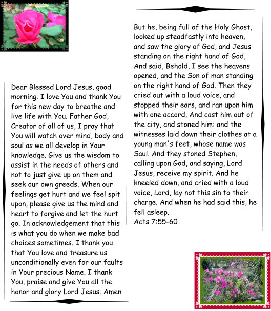 ©Photo Artist Susan Ruth Robertson 0900250061 006 - Copy (2).JPG