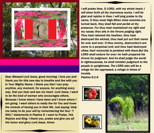 Photo Artist Susan R. Robertson 008 - Copy.JPG